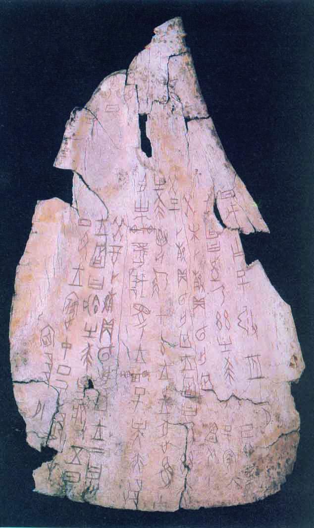 图片地址1