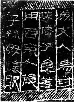 图片地址1