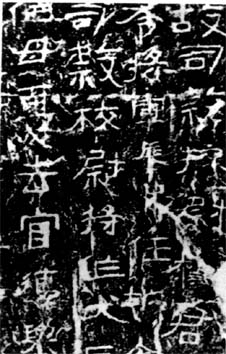 图片地址1