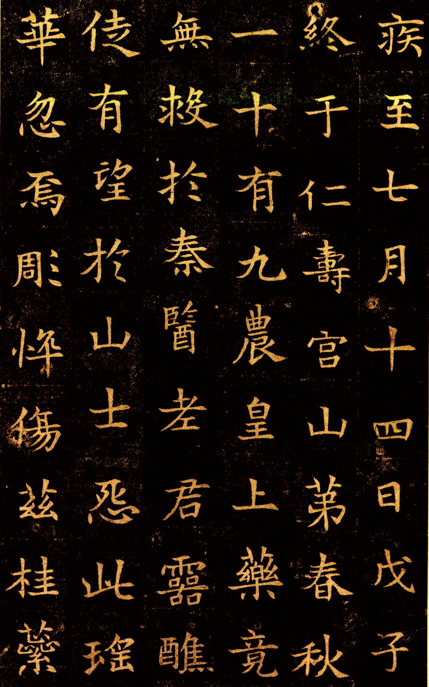 图片地址3