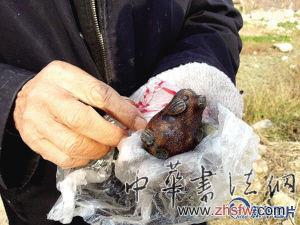 高淳苏皖边界村民连夜疯狂挖文物