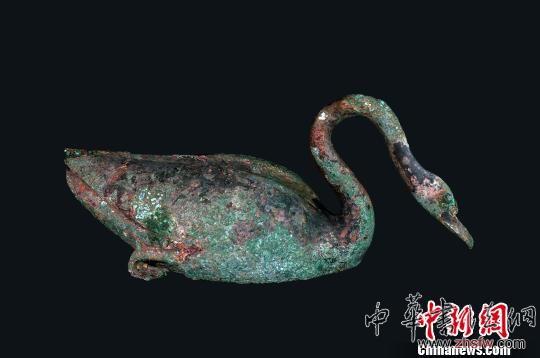 图为青铜天鹅。　秦始皇帝陵博物院　摄