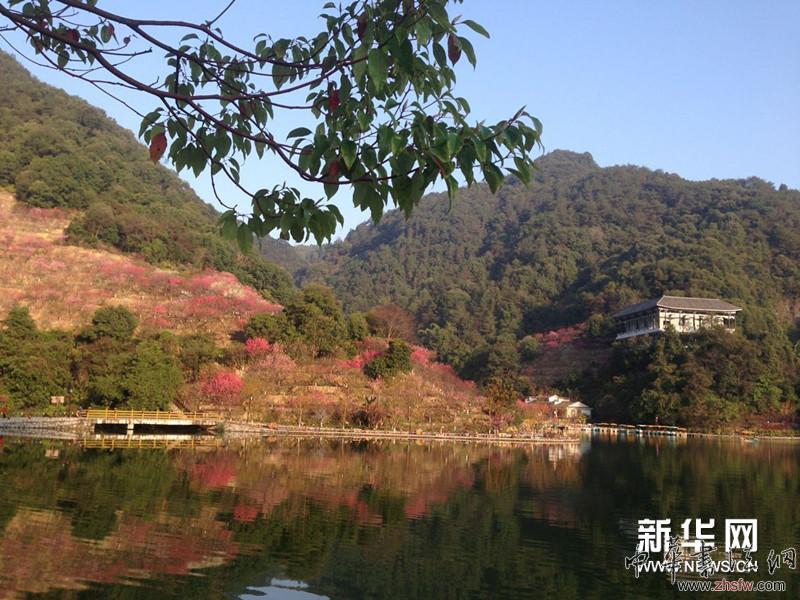 徐寒艺术馆外的景色。