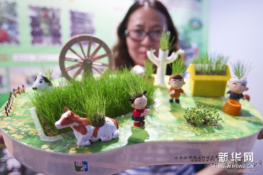 2013第八届北京国际创意礼品及工艺品展开幕 图