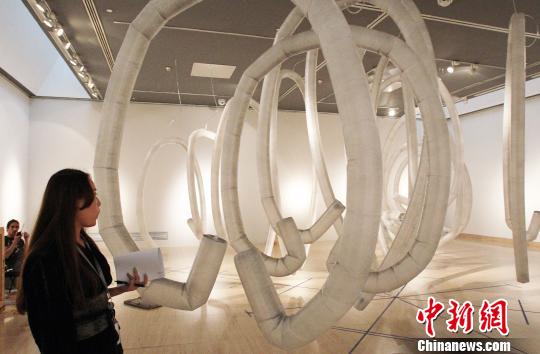 国际新媒体艺术三年展吸引22个国家艺术家参展