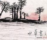 湖湘艺术 源远流长(组图)