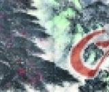 岭南画派已走出价格“洼地”？