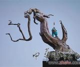 瞿广慈向京夫妇雕塑双个展在上海展出（图）