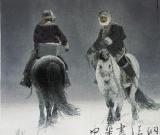 纵横开阖