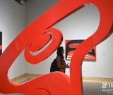 美洲印第安原住民艺术家作品在纽约展出 图