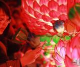 南京：秦淮灯会“小年”正式亮灯