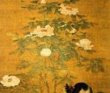 情趣《富贵花狸图》