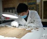 陕西师范大学：文理工结合还原文化遗产本来面目