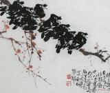蜀中刘八哥之不同神态八哥欣赏(四)