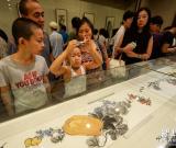 “得于外象”张晖中国画作品展在沈阳开幕 图