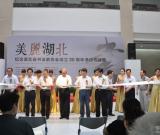 美丽湖北·纪念湖北省书法家协会成立30周年
